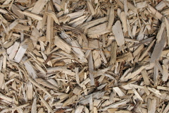 biomass boilers Bursea